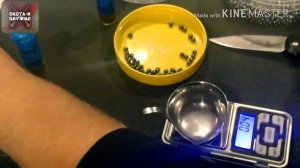 Патроны Рекорд ( Record ) вскрытие, мнение !!!