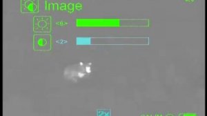 Охота с прицелом ThermoRay на медведя