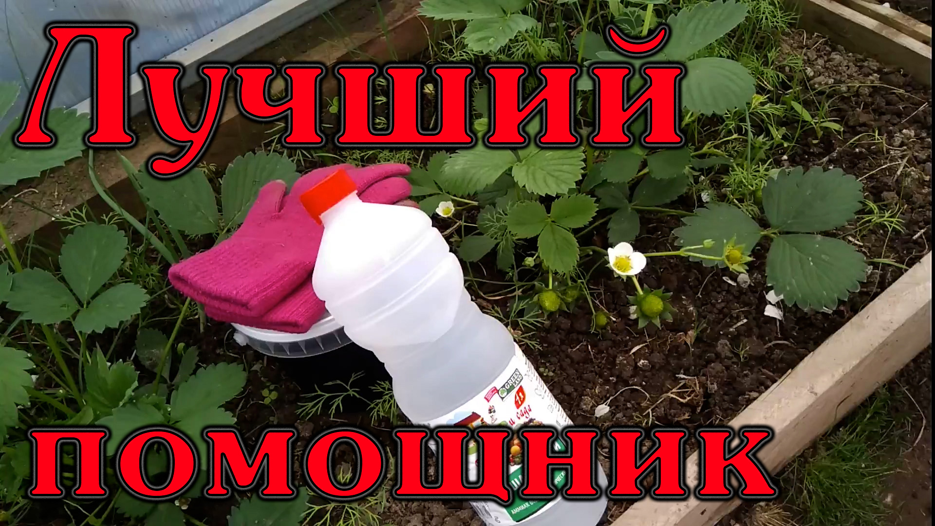 Лучший помощник на даче зимой.