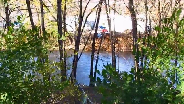 Canon SX40 hs смотреть онлайн