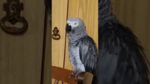 ... после бани выпить надо...