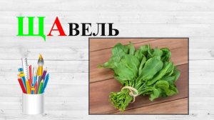 Звук Щ. ЩА. Учим буквы.