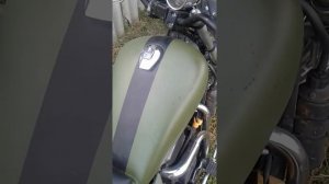 Honda NV400 custom