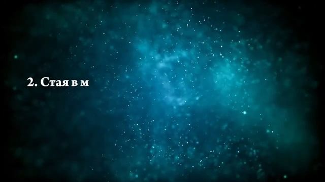 Что означают сны, связанные с дельфинами - положительные и отрицательные значения смотреть онлайн