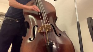 La Bella Supernil bass strings