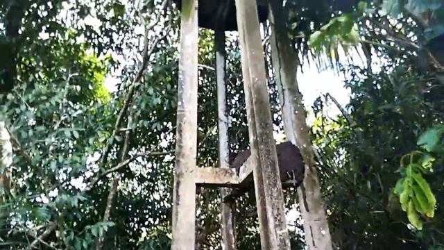 nós fomos numa lenda assustadora no meio da mata 😱😱😱😱⚔️ смотреть онлайн