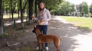 Топ грубых ошибок 80% хендлеров на выставке. Не совершайте их