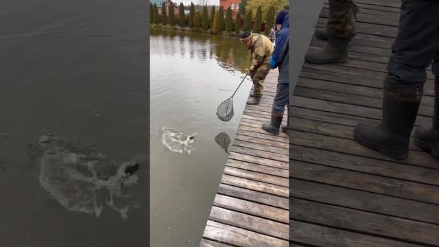 Рыбалка у Иваныча процесс на Випе