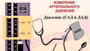 Систолическое и диастолическое давление.
Давление САД и ДАД