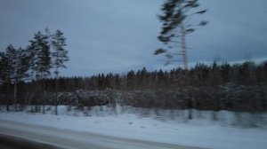 Вот такая у нас зима в Челябинской области