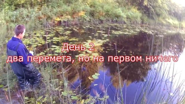 Ловля щуки на перемёт смотреть онлайн