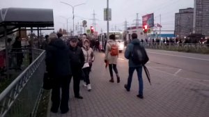 Мурино. Утро
