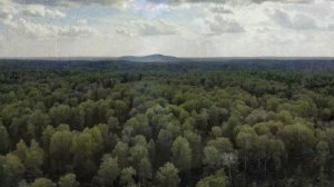 Гора Барсук - Прокопьевский  район ,третья по высоте вершина Салаира, высшая точка , Сибирь