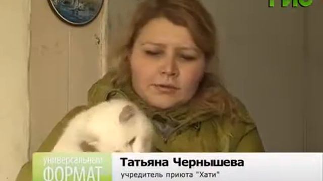 О приюте Хати (Универсальный формат, 09.12.2014) смотреть онлайн