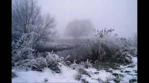 Чудная картина   Фет А.А.