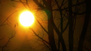 Таймлапс движение Солнца по небу. Футаж таймлапс закат Солнца