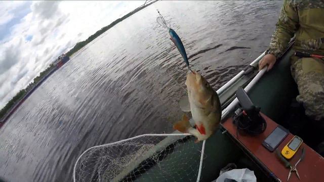 Воблеры на судака ! Тест Драйв воблеров ВАТ на водоёме . 1 Часть смотреть онлайн