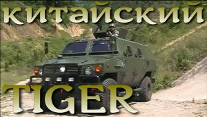 Китайский Tiger замеченный в Ахмате