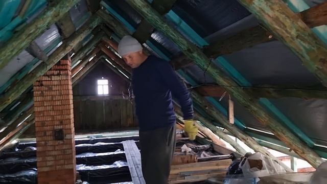 Утка в нашей хлебной камере . Пытаемся найти грибы и навести порядок возле дома . смотреть онлайн