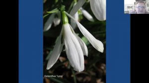 Snowdrops for Beginners - Michael Myers