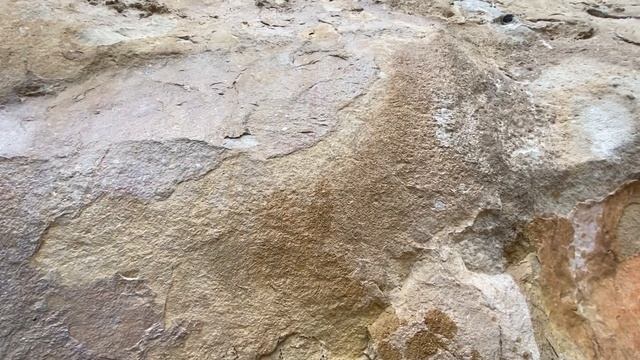 Наскальная живопись 4000 тыс лет до н. эры