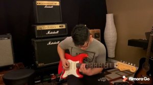 Fender MIJ Strat Squier Series