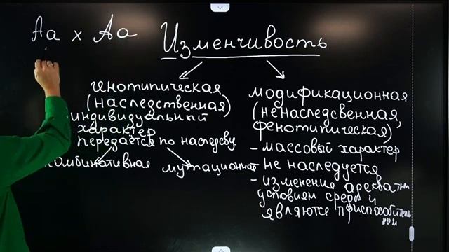 ИЗМЕНЧИВОСТЬ в ГЕНЕТИКЕ! | Подготовка к ЕГЭ 2022 по БИОЛОГИИ