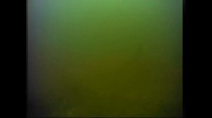 Лещ подводные сьемки