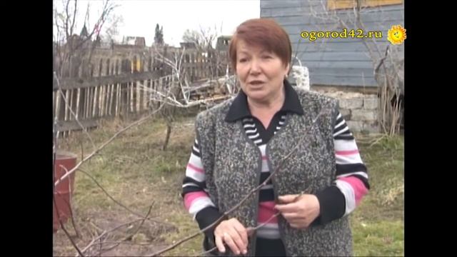 Создаем стланцы с помощью Нины Анатольевны смотреть онлайн