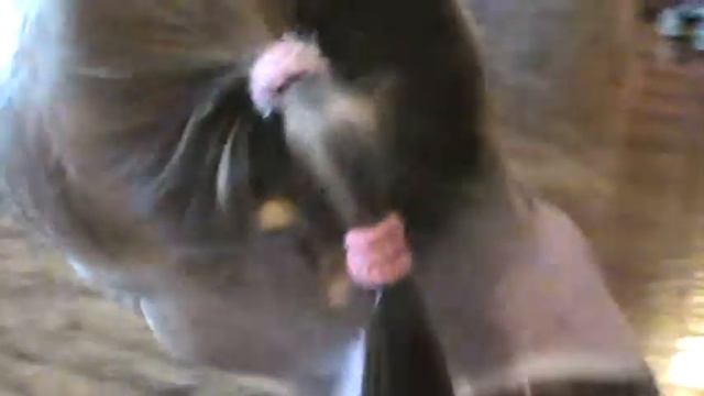 Гланды смотреть онлайн