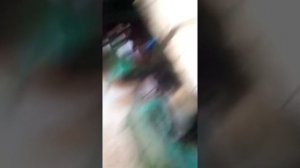 Как быстро научится ездить на мотороллере муравей!(перезагрузка)