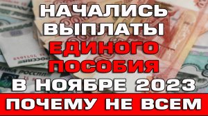 Начались выплаты Единого пособия в ноябре 2023 Почему некоторым не пришли