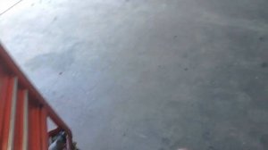 Тойота Приус замена колодок тормозов Toyota Prius replace brake pads