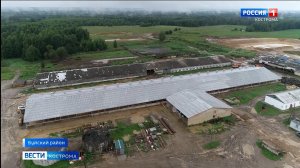 Костромских коров поселят на «умной» ферме