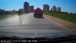 Верблюд сбежал из зоопарка