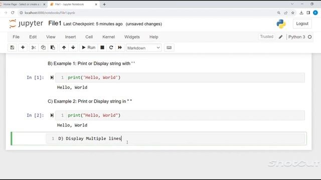 Basics of Python Jupyter notebook. #digitalworld
