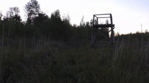 ОХОТА НА КОСУЛЮ.В стране косуль. Часть 1. Охота с подхода, первый выезд сезона.