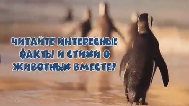 Григорий Гачкевич - Какого цвета зебра смотреть онлайн