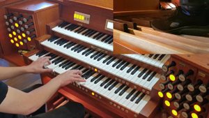 Sabaton: Livgardet/ The Royal Guard (Organ)