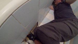 Как достать кошку из под ванны