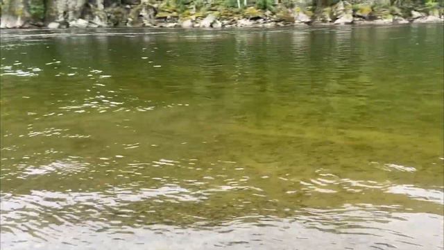 Открытие рыболовного сезона 2023 года смотреть онлайн