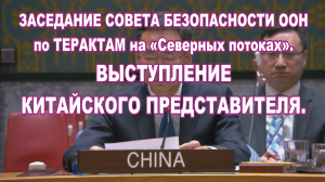 Заседание Совета Безопасности ООН по терактам на «Северных потоках». Выступление представителя КНР