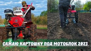 Посадка КАРТОФЕЛЯ под МОТОБЛОК 2023 ! Огород в Деревне !