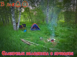 В лес??. Одиночный велопоход с ночевкой