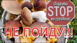 За грибами больше   НЕ пойду!!!
