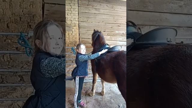 Blackberries Rain Fairy (Fialka) смотреть онлайн