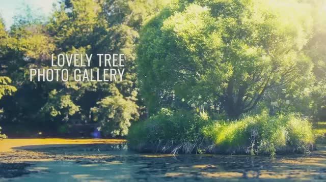 Videohive Lovely Tree Photo Gallery » Free After Effects Templates - Premiere Pro Templates.mp4 смотреть онлайн