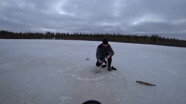 Закрытие сезона! Рыбалка на жерлицы. смотреть онлайн