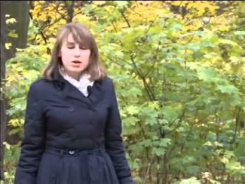 Усадьба Петровское (Лыткарино)