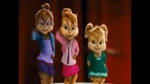 бурундуки и бурундушки